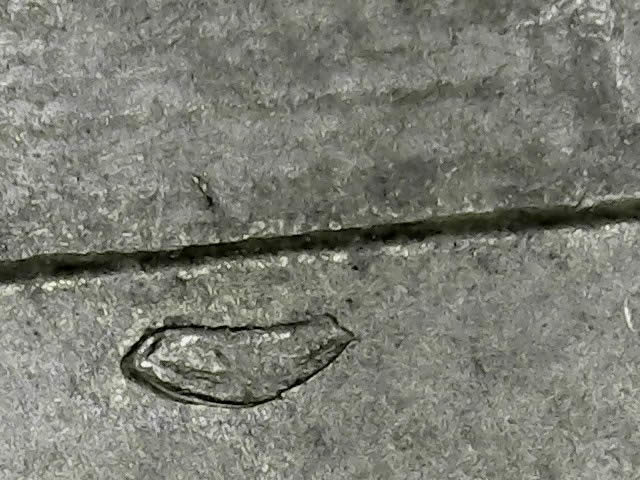 1982-LMC-Die-Chip---Unusual-Location?