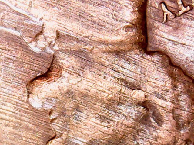 1958-D-LWC---So-Confused---Sand-Blasted-Lamination-Bad-Planchet?