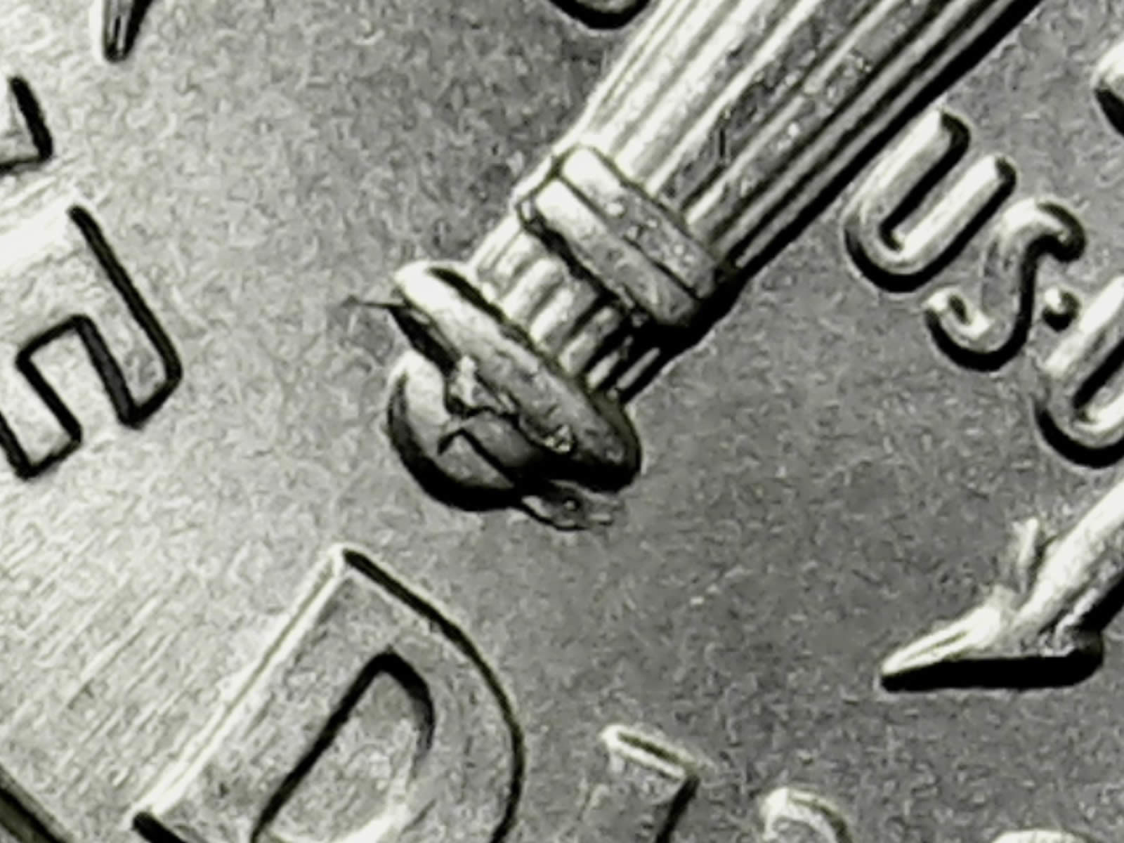 2015-P-Roosevelt-Dime-Die-Crack---Unusal?-Does-This-Type-Have-A-Special-Name