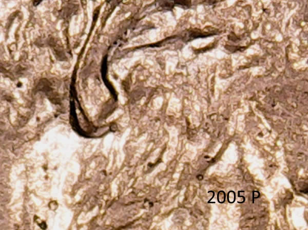 2005-LMC-Doubled-Ear?