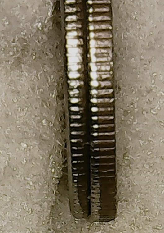 1999-P-Roosevelt-Dime---Is-This-Finning?
