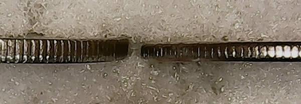 1999-P-Roosevelt-Dime---Is-This-Finning?