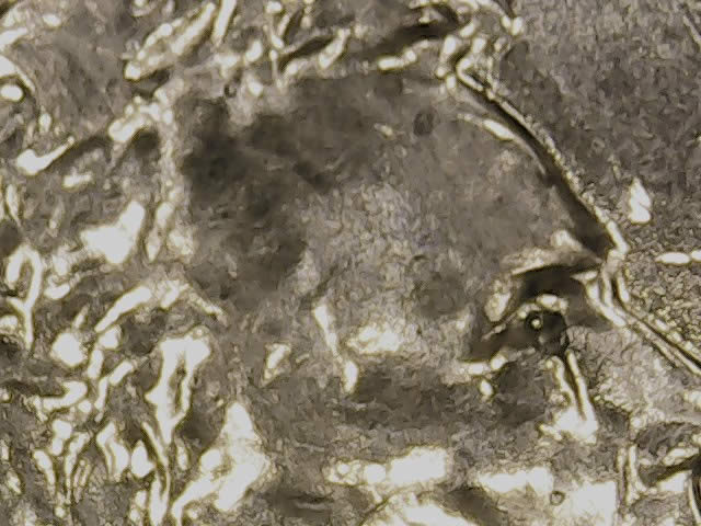 2014-P-LSC-Die-Chip-Or-Extra-Material