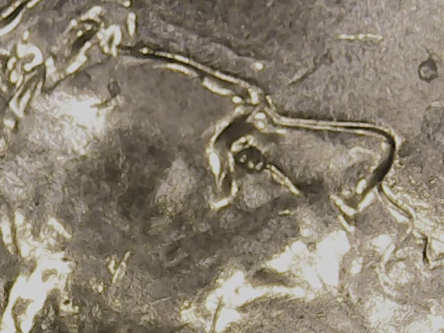 2014-P-LSC-Die-Chip-Or-Extra-Material