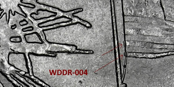 2013-P-Maryland-Quarter-WDDR-004-Found