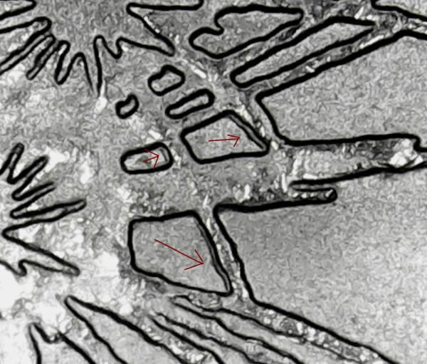 2013-P-Maryland-Quarter-WDDR-004-Found