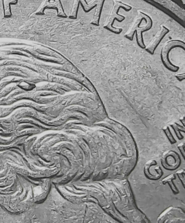 2004-P-TX-Qtr---Die-Chip-In-Middle-Of-Hair