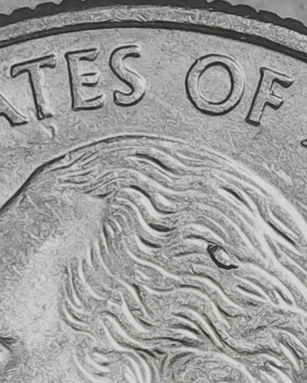 2004-P-TX-Qtr---Die-Chip-In-Middle-Of-Hair