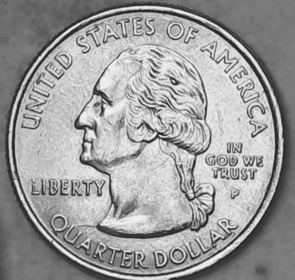 2004-P-TX-Qtr---Die-Chip-In-Middle-Of-Hair