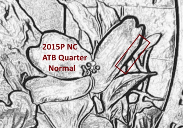 2015-P-NC-Blue-Ridge-Qtr---REV----Idb-Worthy?