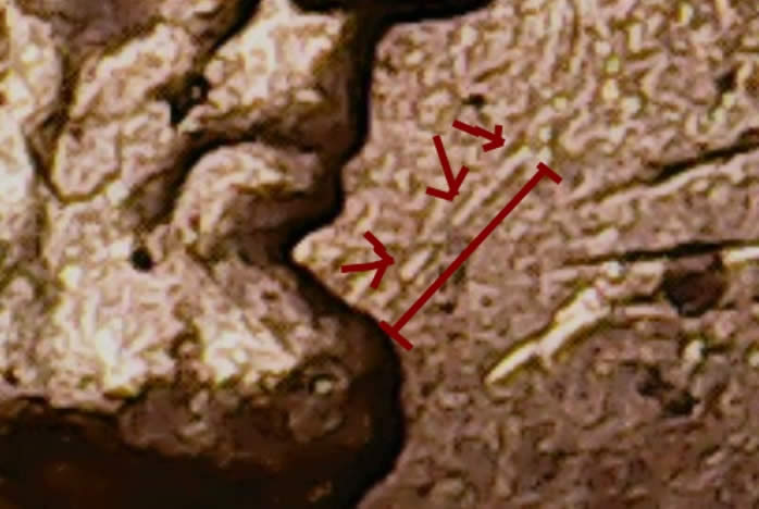 2015-P--LC--WDDO-015-Or-WDDO-003?