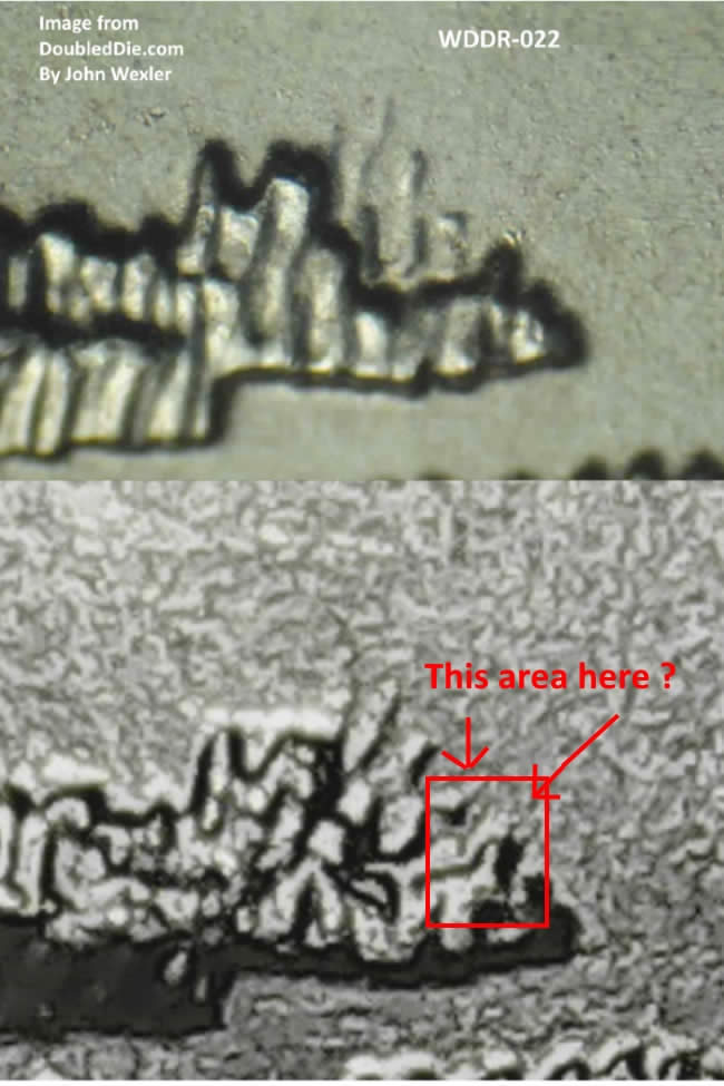 Bombay-Hook-2015-P-WDDR-022-But-Different-Die-Stage?