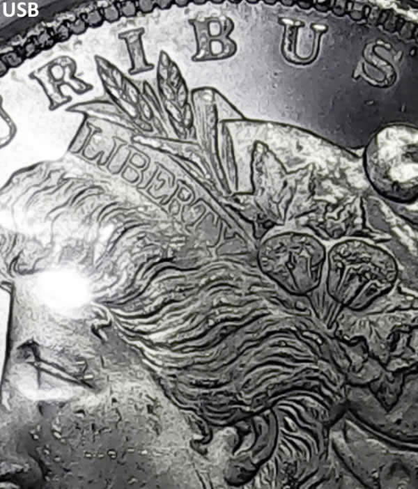 1881-CC-Morgan-Silver-Dollar---Opinions-Needed