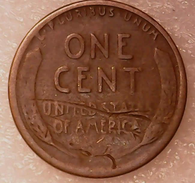 Curious-1919-D-Or-S-Wear-Greaser?