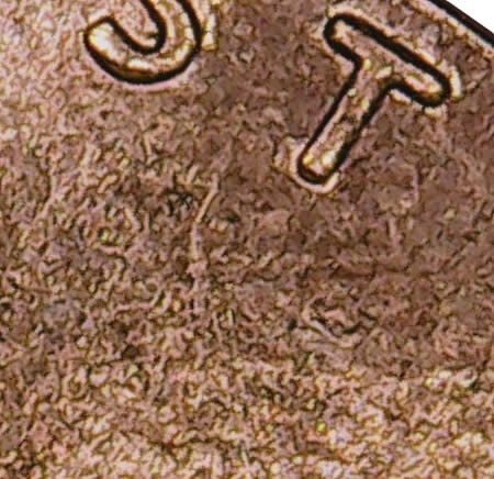 Found-One-Of-Best-DDR's-2009-P-Fy--Coppercoins:-1-DR-007