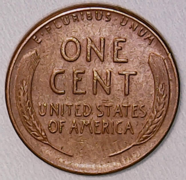 1955-Wheatie-Cracked-Skull---Updated---It's-A-Retained-Cud-:-!!