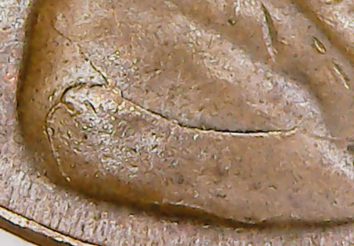 1955-LWC-Bust-Die-Crack---Anything-Special?