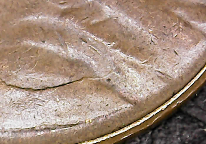 1955-LWC-Bust-Die-Crack---Anything-Special?