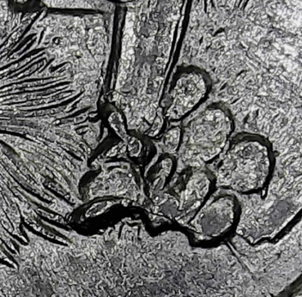 2008-Arizona-Quarter-Extra-Cactus