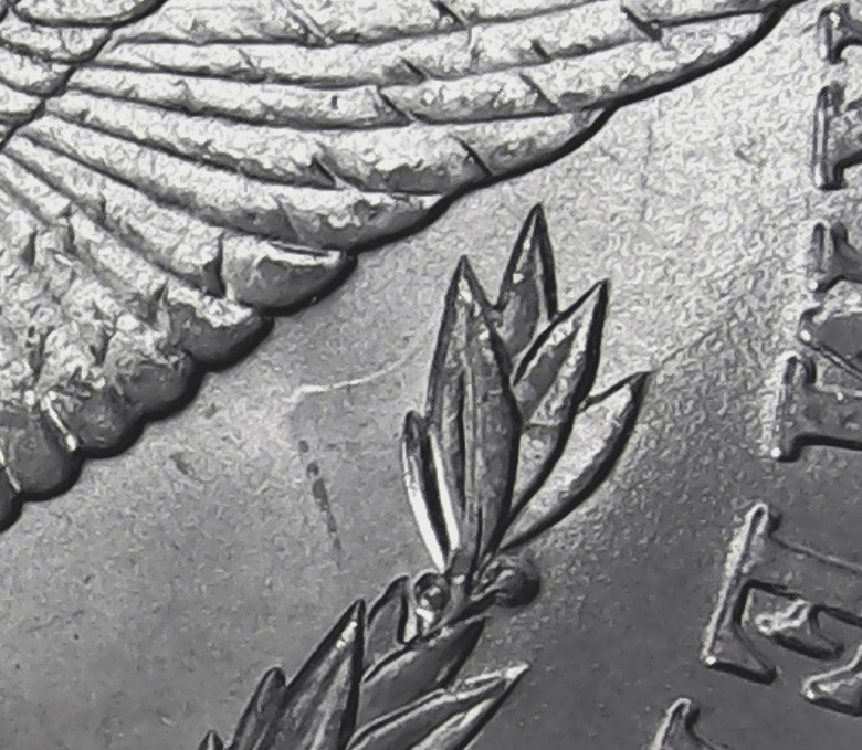 1884-O-Morgan---Lots-Of-Spider-Cracks---VAM-19A?
