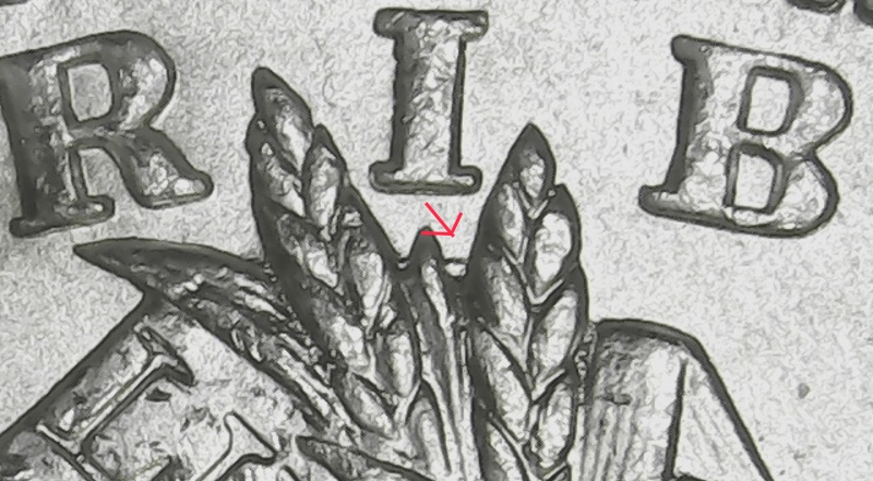 1884-O-Morgan---Lots-Of-Spider-Cracks---VAM-19A?