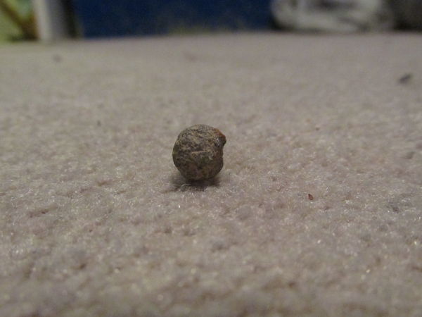 Slow-Month,-But-Musket-Ball-In-My-Driveway?