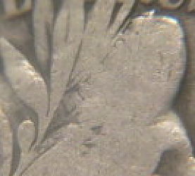 New-Pictures--1902-P-Barber-Half-Dollar.