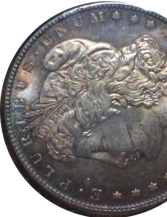 1887-Morgan-Dollar--Some-Nice-Toning-On-This-One!