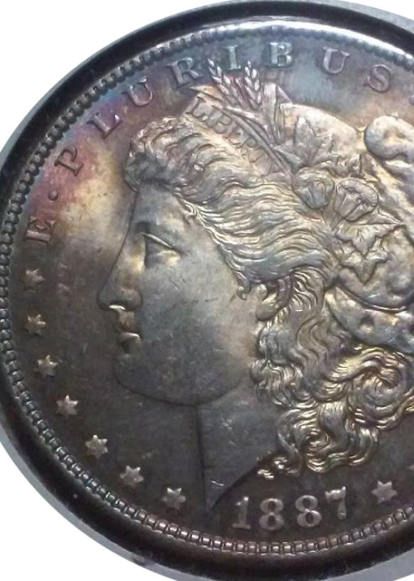 1887-Morgan-Dollar--Some-Nice-Toning-On-This-One!