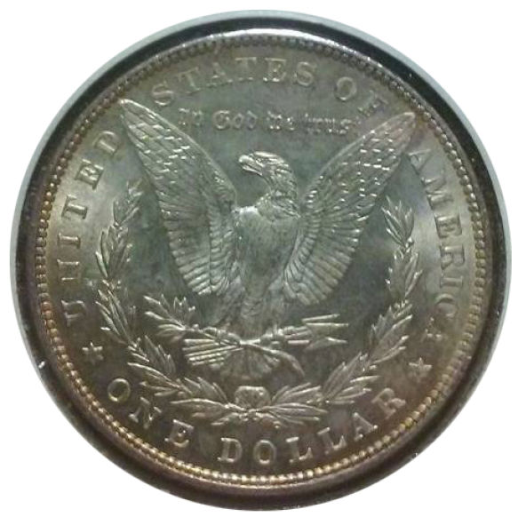I-Love-Morgans!
