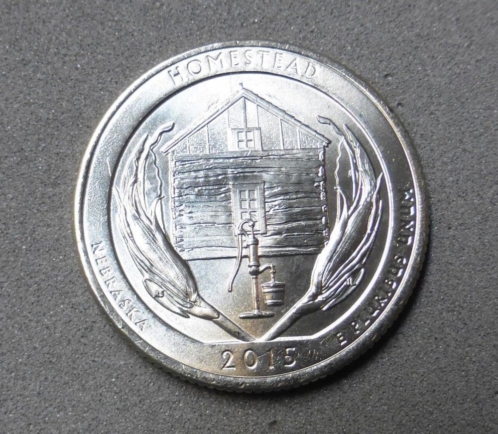 Am-I-Insane?-Homestead-Quarters