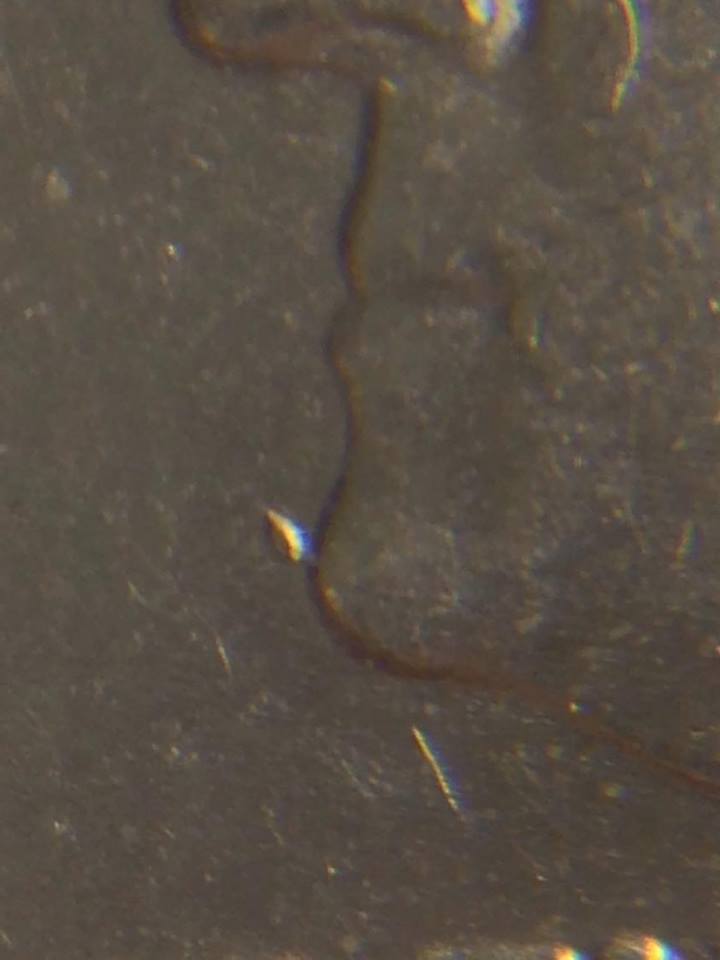 2006-P-Colorado-State-Quarter-Cud