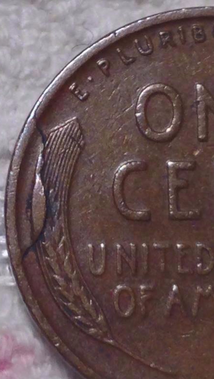 1935-P-Wheat-Cent---Retained-Cud-Reverse