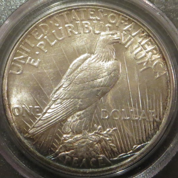 1921-Peace-Dollar-For-Grading
