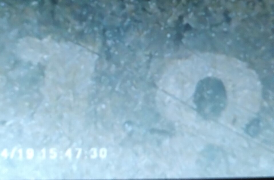1814-Large-Date-Or-Small-Date?