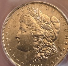 Grading-Thoughts-On-This-1901-P-Morgan-Dollar