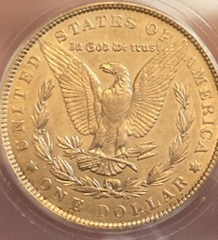 Grading-Thoughts-On-This-1901-P-Morgan-Dollar