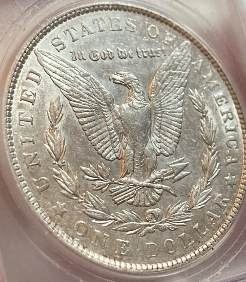 Grading-Thoughts-On-This-1901-P-Morgan-Dollar