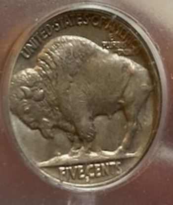 Grading-Thoughts-On-This-1913-S-Type-2-Buffalo-Nickel