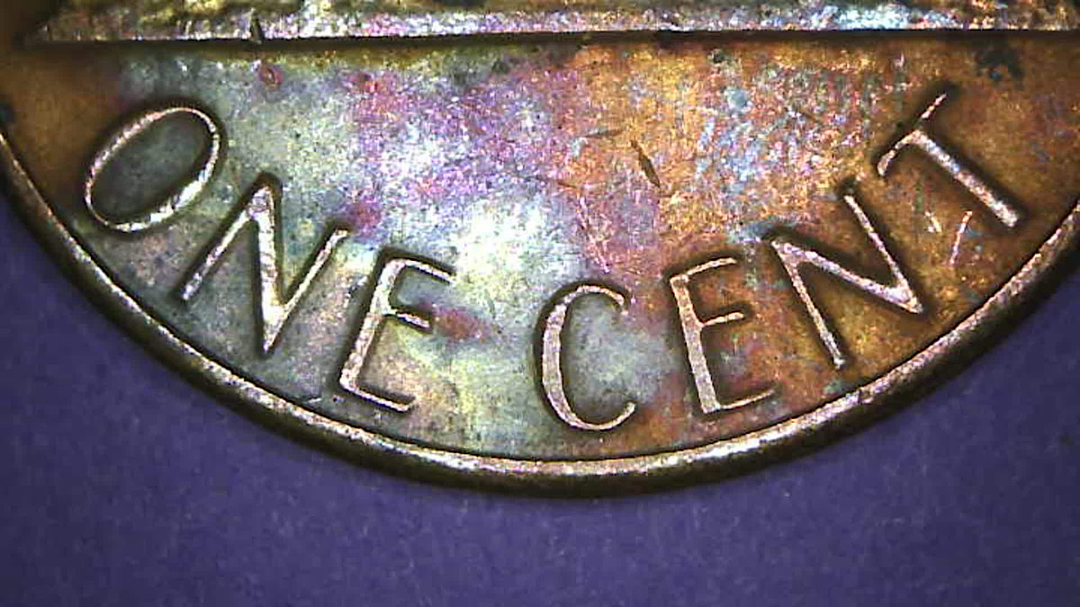 1983-D-LMC-Wild-Toning