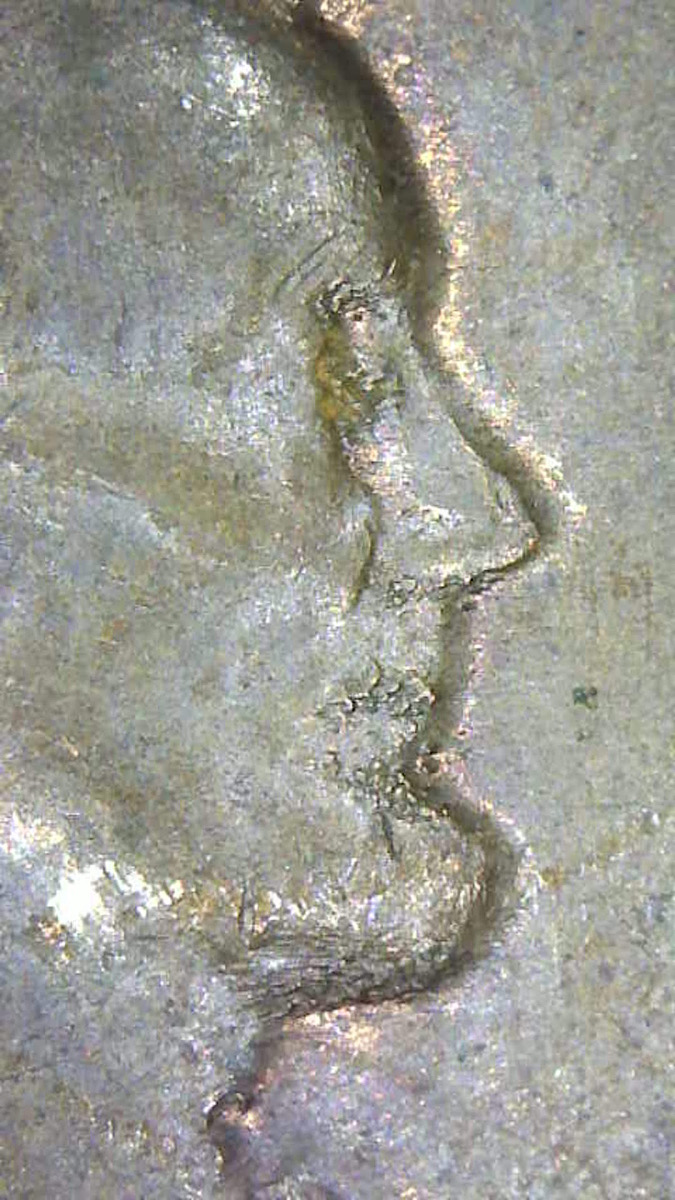 1971-P-LMC-Rusted-Die?