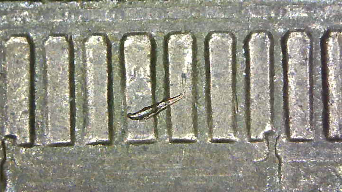 1981-P-LMC-Struck-Through-Rim-Burr?