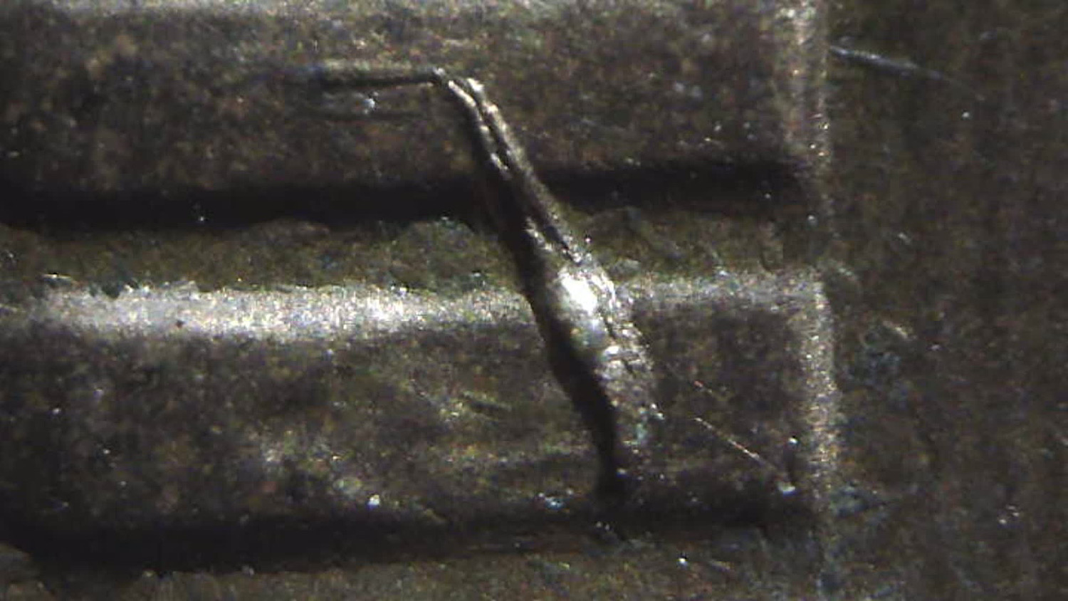 1981-P-LMC-Struck-Through-Rim-Burr?