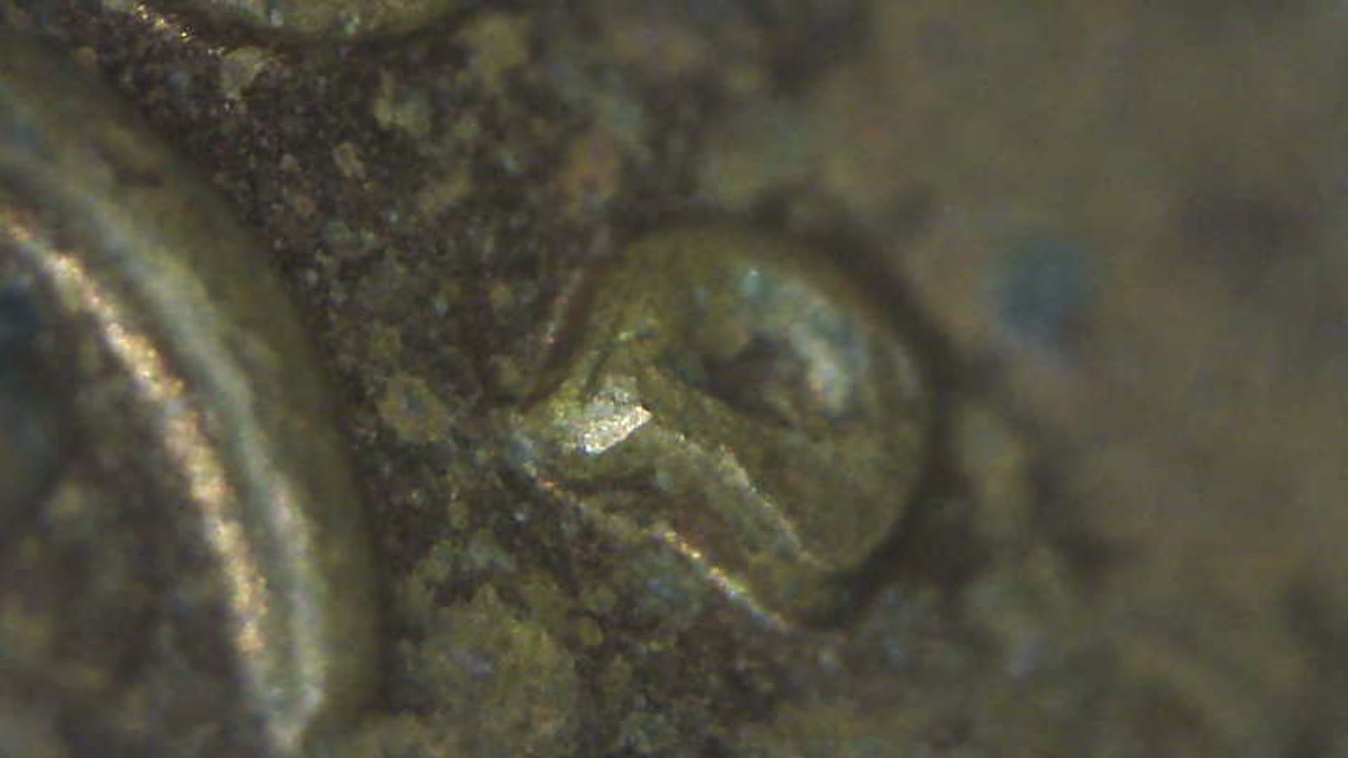 1963-D-LMC-RPM-003-D/D/D?