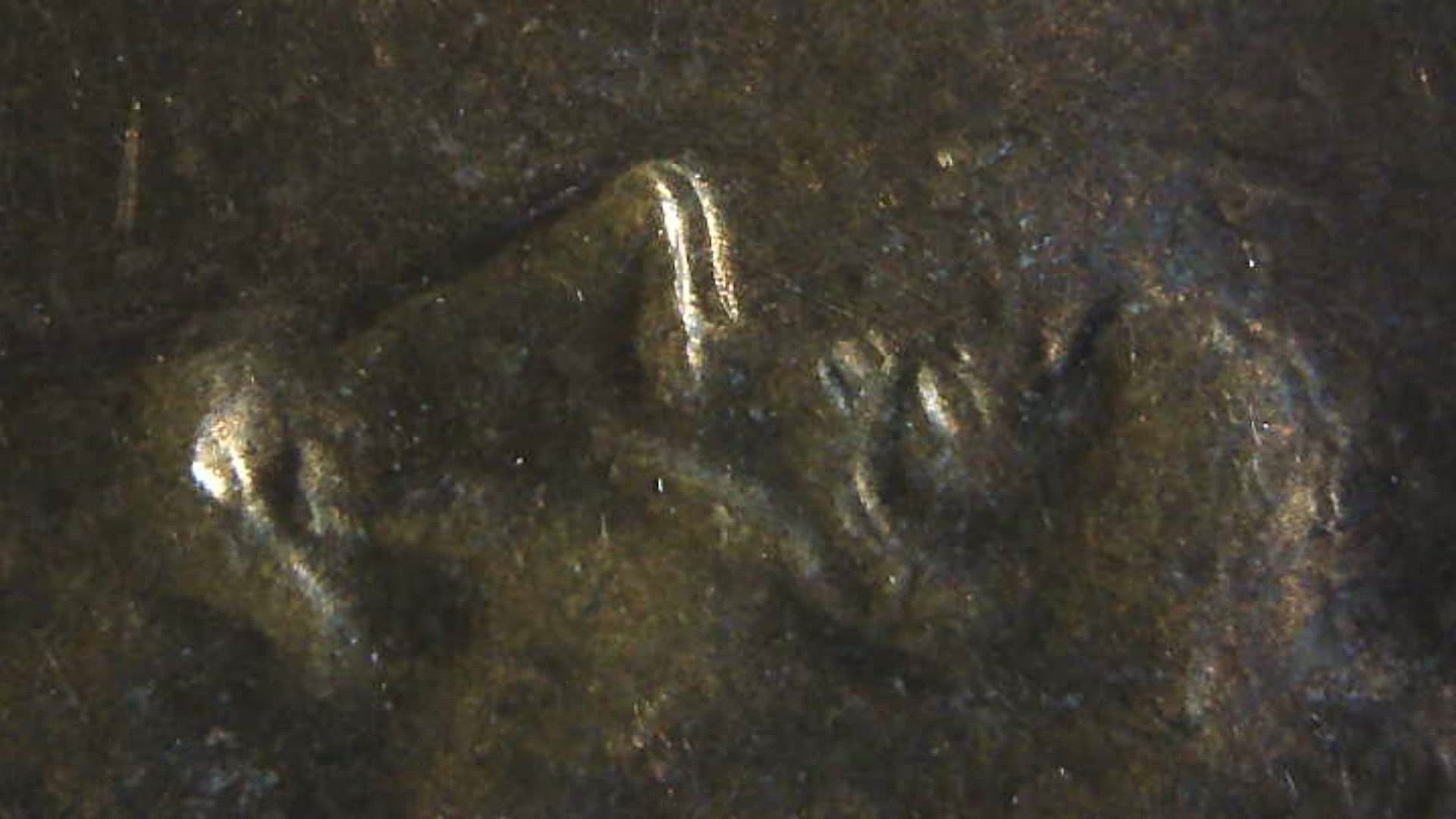 1983-P-Memorial-Cent-DDO-Or-MD?