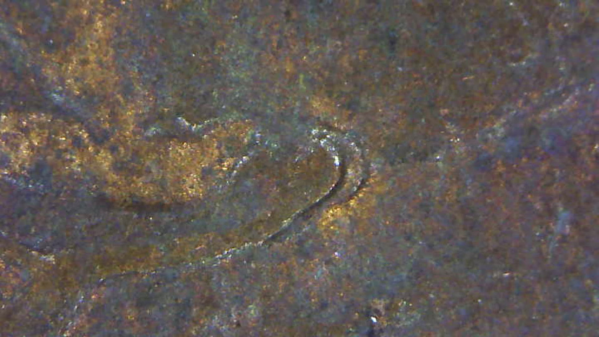 1983-P-Memorial-Cent-DDO-Or-MD?