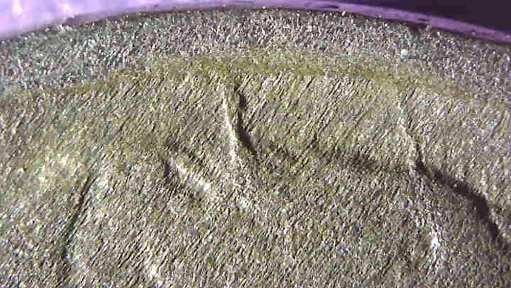 Buffalo-Nickel-Planchet-Error?