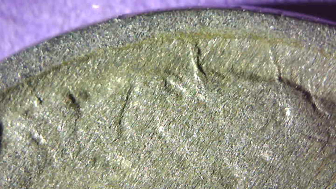 Buffalo-Nickel-Planchet-Error?