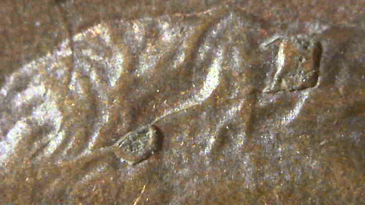 1983-P-1c-New-RIDB/Skh?