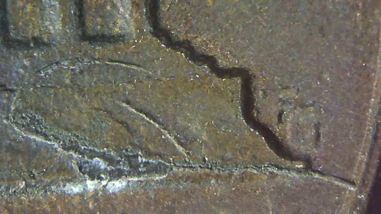 1983-P-1c-New-RIDB/Skh?